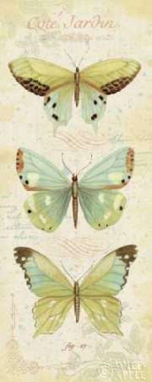 Cote Jardin IV Poster Print by Daphne Brissonnet - Item # VARPDX5754